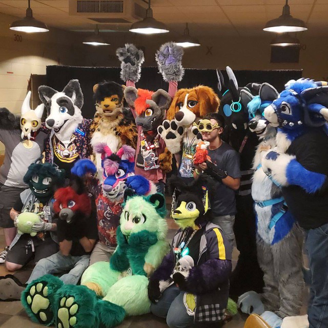 Image for Foxville Furmeets!