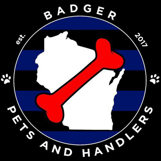 Image for Badger Pets and Handlers